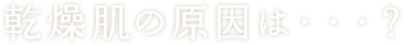 乾燥肌の原因は・・・？